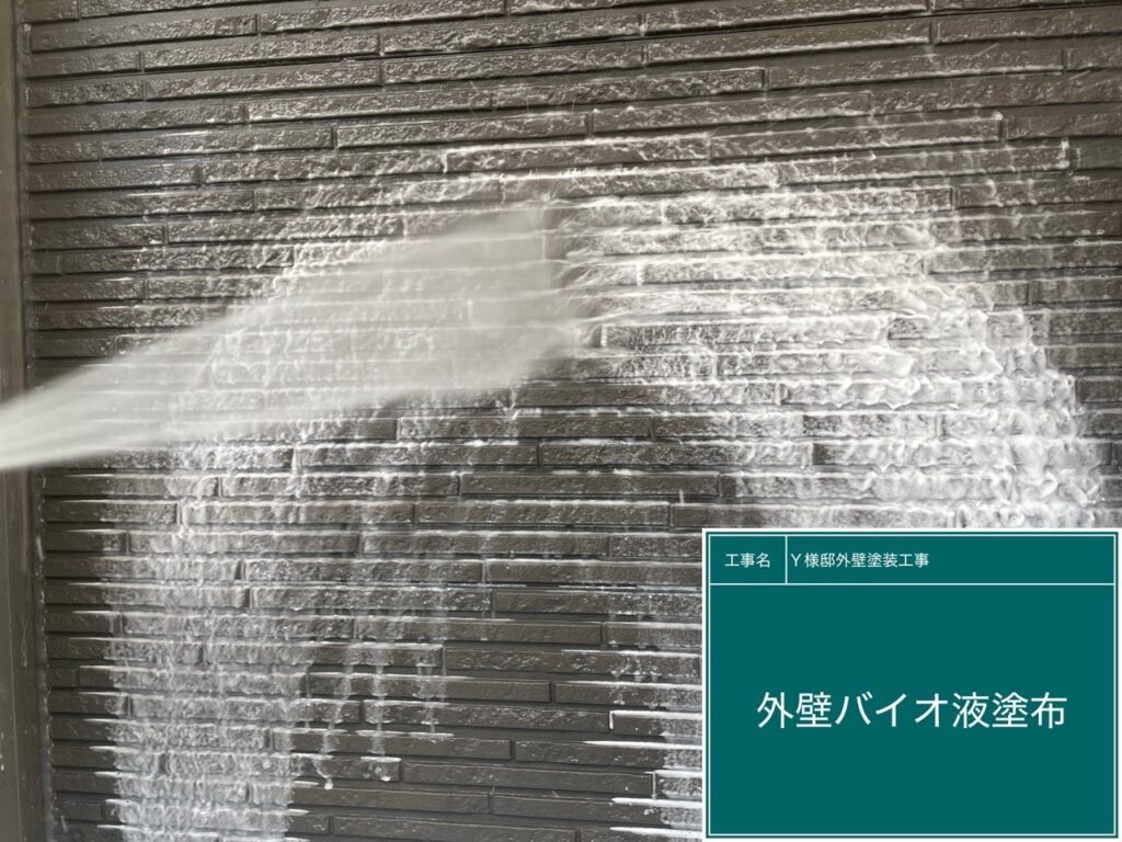外壁バイオ洗浄